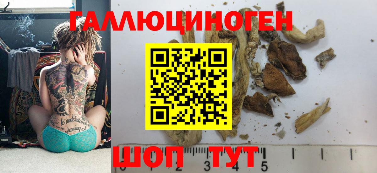 Галлюциногенные грибы Cubensis Красногорск